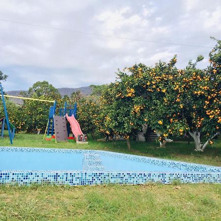 Holiday Home New Athos Bagian luar foto
